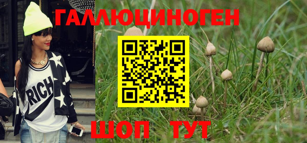 Елабуга  Псилоцибиновые грибы MAGIC MUSHROOMS  Вход с VPN 
