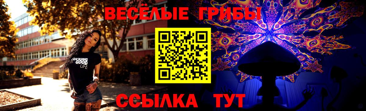 Псилоцибиновые грибы Cubensis Елабуга